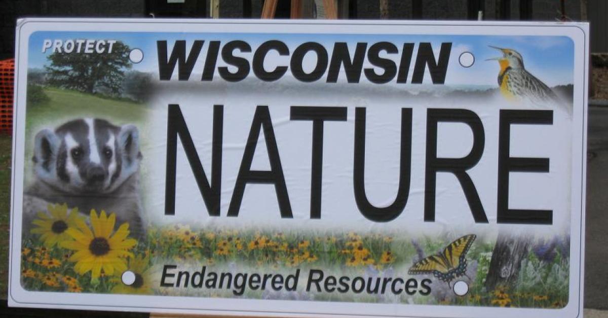 New license plate boosts funds for endangered species Wisconsin